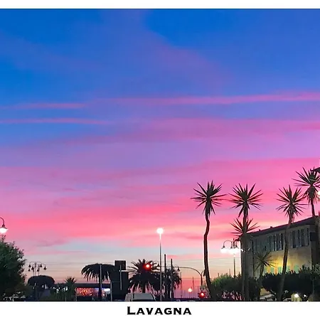 Lavagnamid *