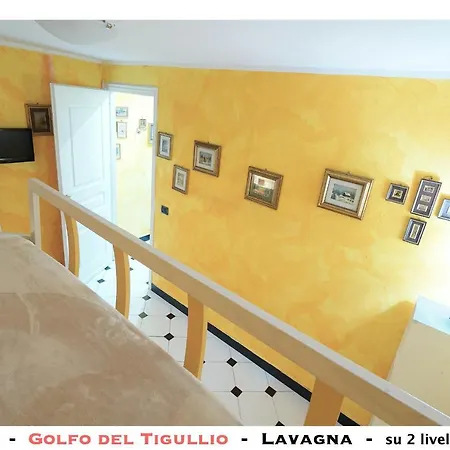 Lavagnamid * Lavagna