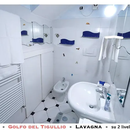 Lavagnamid * Lavagna