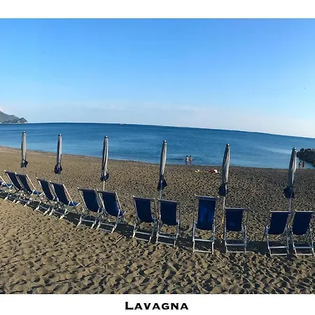 Lavagnamid